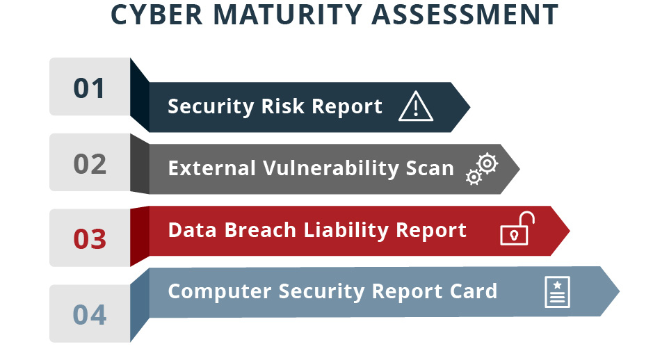 Cyber Maturity Assessment Chart